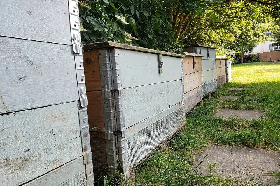 Bacs de compostage en planches de bois peintes en bleu clair alignés le long d'une allée herbeuse, couvercles fermés